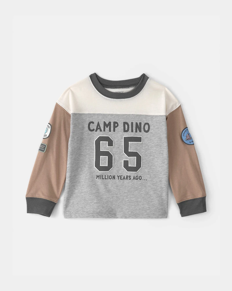 Toddler Boy 'Camp Dino' Long-Sleeve T-Shirt - Brown/Grey