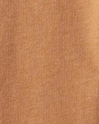 Toddler Boy 2-Piece Dinosaur Striped Hooded Tee & Jogger Set