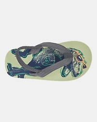 Dinosaur Flip Flops
