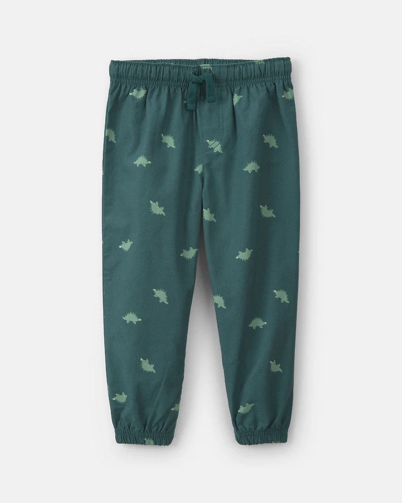 Toddler Boy 2-Piece Dinosaur Fleece Hooded Top & Pant Set - Grey/Green