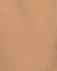 Toddler Boy Pull-On Pants - Khaki
