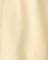 Baby 2-Pack Constellation PurelySoft Pants - Yellow/Cream