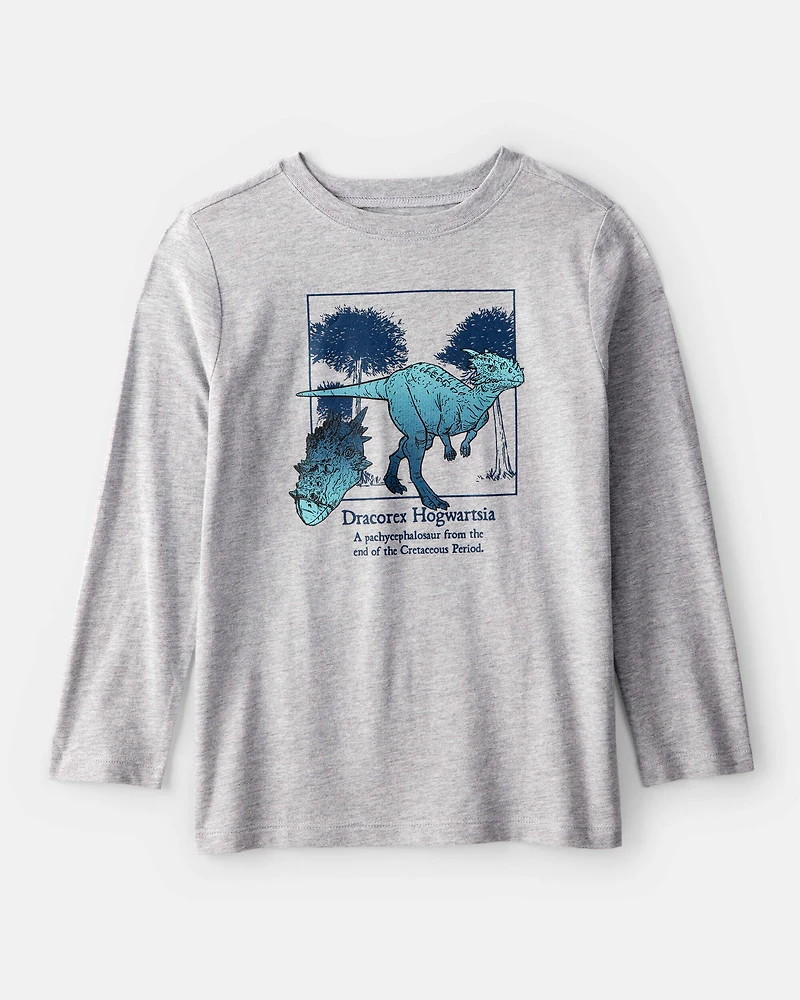 Boys Dinosaur Long-Sleeve Graphic Tee - Grey