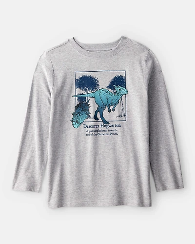 Boys Dinosaur Long-Sleeve Graphic Tee - Grey