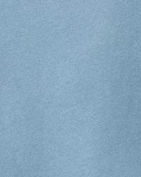 Toddler Girl 2-Piece Fleece Floral Top & Pant Set - Blue