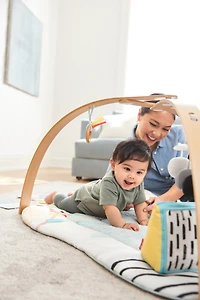 Discoverosity Montessori-Inspired Play Gym