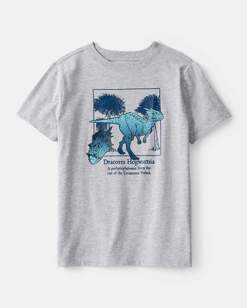 Boys Dinosaur Short-Sleeve Graphic Tee - Grey