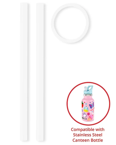 Stainless Steel Canteen Bottle Extra Straws - 2-Pack