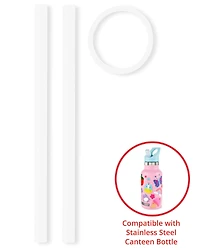 Stainless Steel Canteen Bottle Extra Straws - 2-Pack