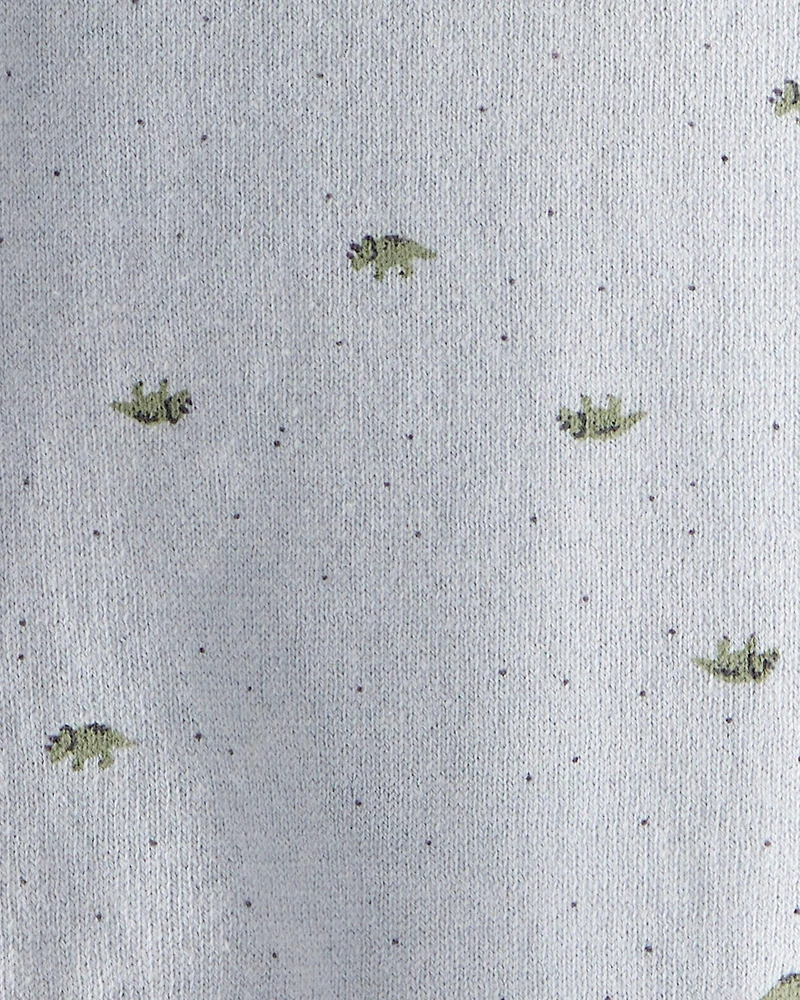 Baby Boy Dinosaur Print Cotton Long-Sleeve Tee & Pant Set - Blue