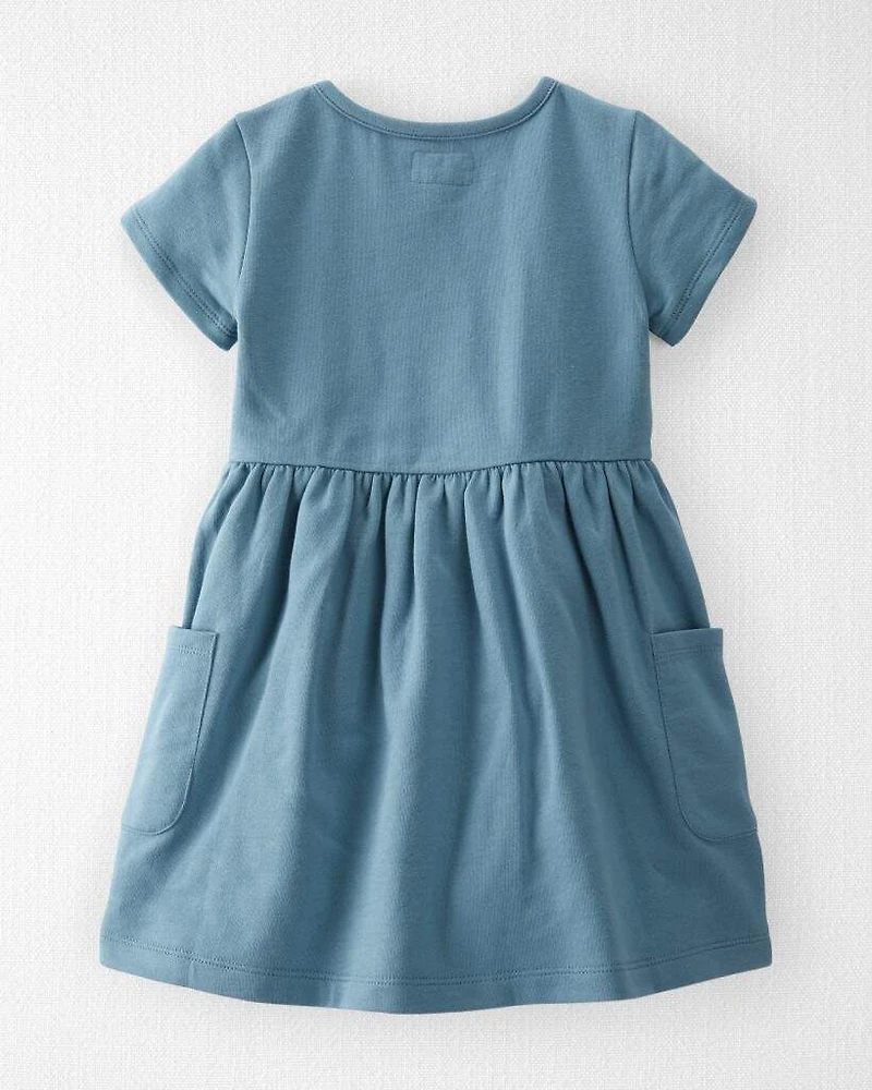 Toddler Organic Cotton Pocket Dress in Cottage Blue