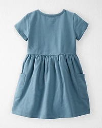 Toddler Organic Cotton Pocket Dress in Cottage Blue