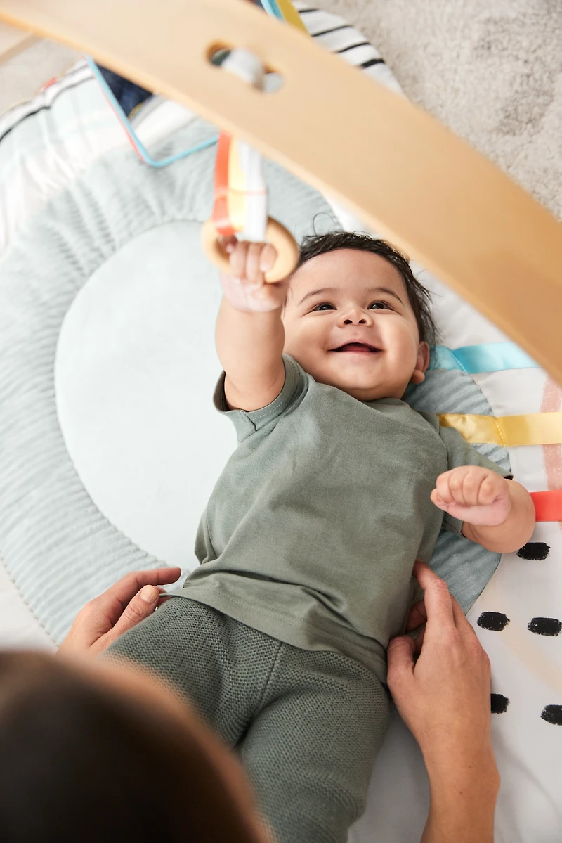 Discoverosity Montessori-Inspired Play Gym