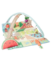 Farmstand Grow & Play Activity Gym
