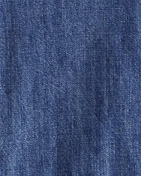 Toddler Denim Long-Sleeve Jumpsuit - Blue