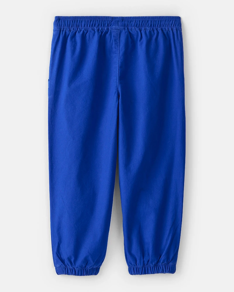 Toddler Boy Lined Joggers - Blue