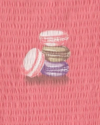 Girls Macaron Ruched Top - Coral