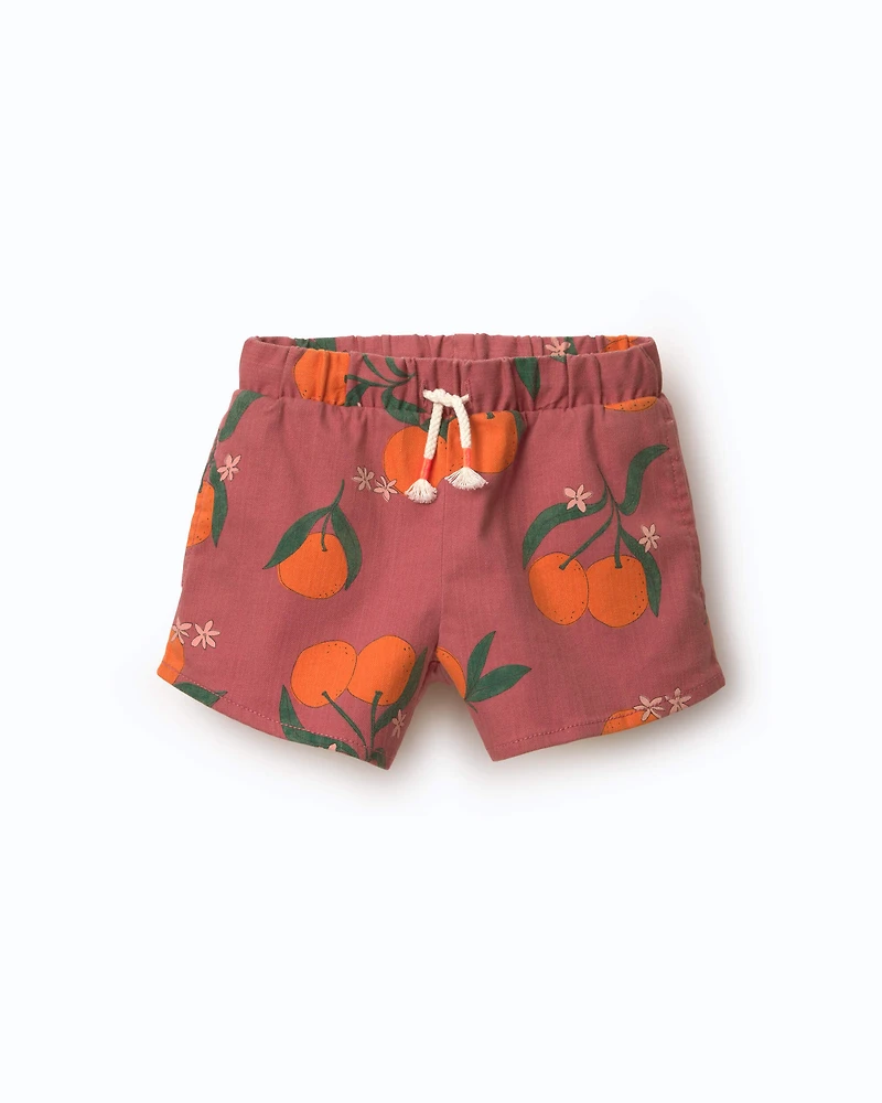 Toddler Girl A-Line Shorts in Clementine Grove Print - Rose