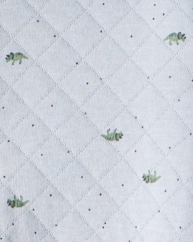 Baby Boy Dinosaur Print Sherpa-Lined Long-Sleeve Jumpsuit - Blue