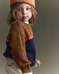 Toddler Boy Colorblock Pullover Sweater - Navy/Cinnamon