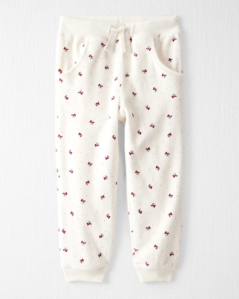 Toddler Girl 2-Piece Organic Cotton Velour Set in Wild Rose Print