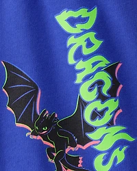 Toddler Boy How To Train Your Dragon Outfit Set - Blue