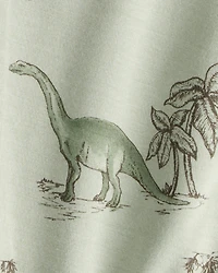 Baby Boy 2-Pack Dinosaur Print PurelySoft Pull-On Pants - Green