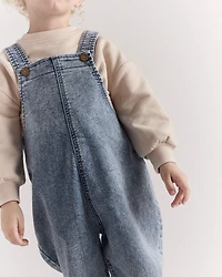 Toddler Avenue Wash Denim Overalls - Blue