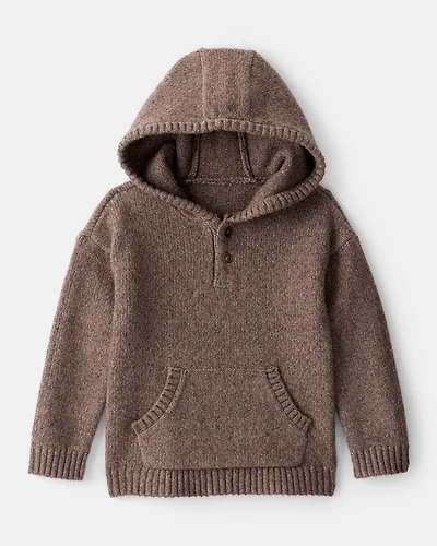 Toddler Boy Long-Sleeve Hooded Sweater - Brown
