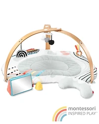 Baby Discoverosity Montessori-Inspired Play Gym