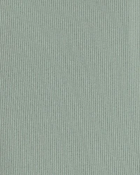 Toddler 2-Piece Organic Cotton Ribbed Pajamas