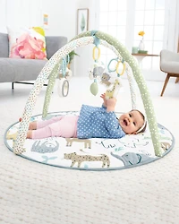 Baby Safari Play Gym