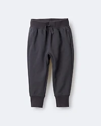 Toddler Neutral City Park™ Jogger Pant - Dark Grey