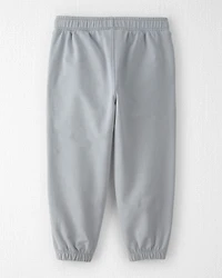 Toddler 2-Pack Organic Cotton Pants