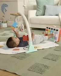 Painted Dreams 4-in-1 Developmental Baby Play Gym