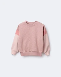 Toddler Girl Colorblock Dolman-Sleeve Sweatshirt - Mauve