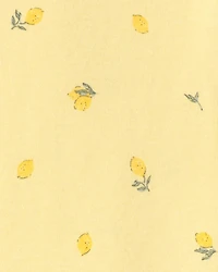 Toddler Lemon 100% Cotton Snug Fit 1-Piece Pajama Set - Yellow