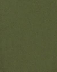 Toddler Boy Pull-On Pants - Olive Green