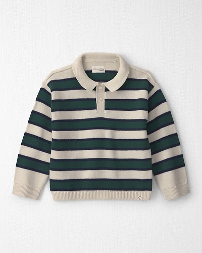 Toddler Boy Organic Cotton Sweater Knit Polo in Stripes