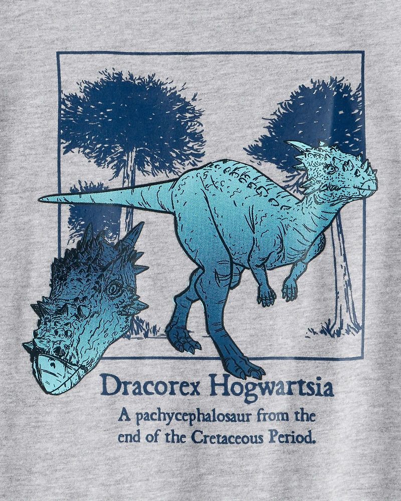 Boys Dinosaur Short-Sleeve Graphic Tee - Grey