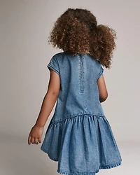 Toddler Girl Asymmetrical Drop-Waist Dress in Denim