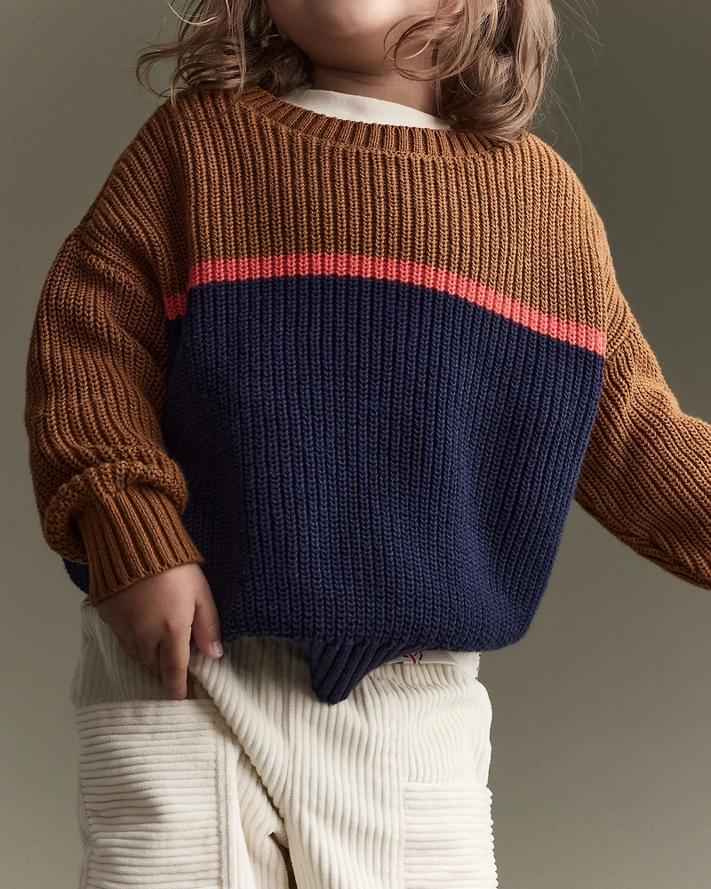 Toddler Boy Colorblock Pullover Sweater - Navy/Cinnamon