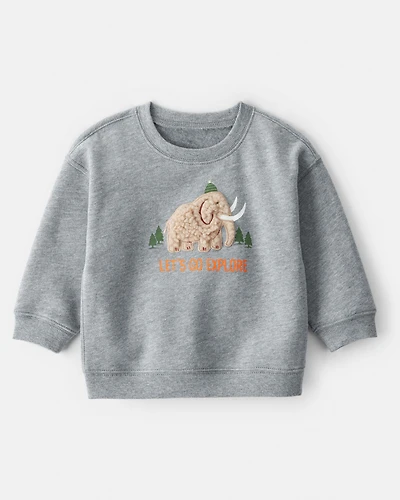 Baby Boy DayDream Fleece Mammoth Pullover Sweatshirt - Grey