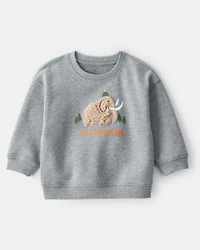 Baby Boy DayDream Fleece Mammoth Pullover Sweatshirt - Grey