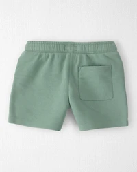Toddler Boy Knit Shorts Made with Organic Cotton