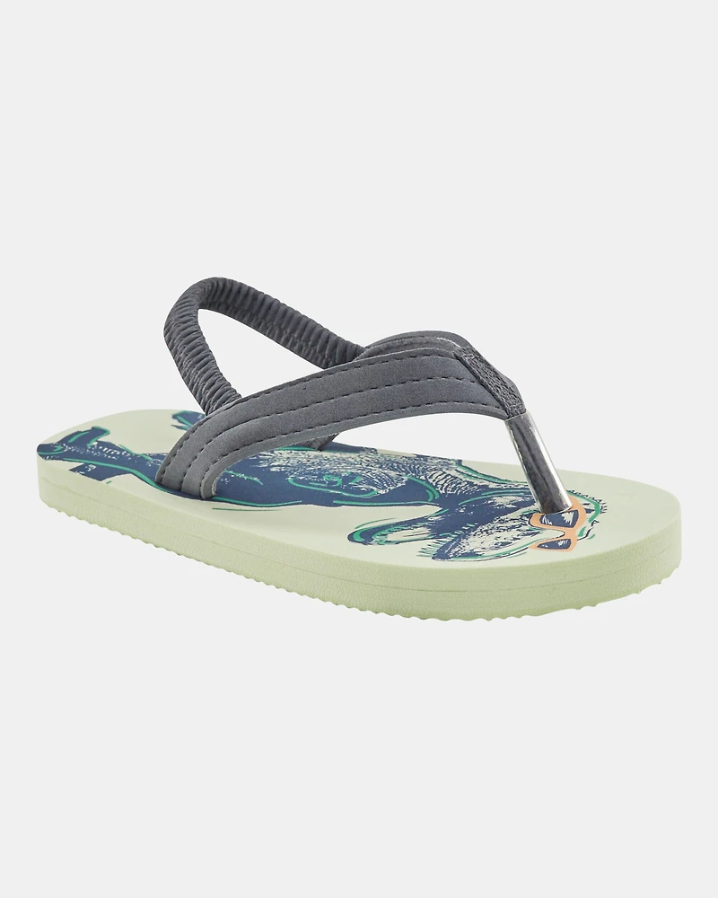 Dinosaur Flip Flops