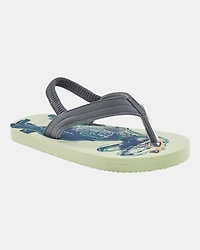 Dinosaur Flip Flops
