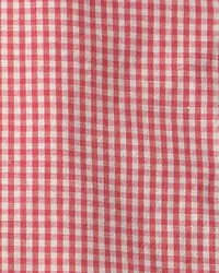 Toddler Boy 2-Piece Top & Short Set Made with Organic Cotton in Red Gingham