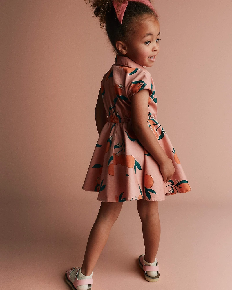 Toddler Girl Avenue Twirl™ Dress in Clementine Grove Print - Light Pink