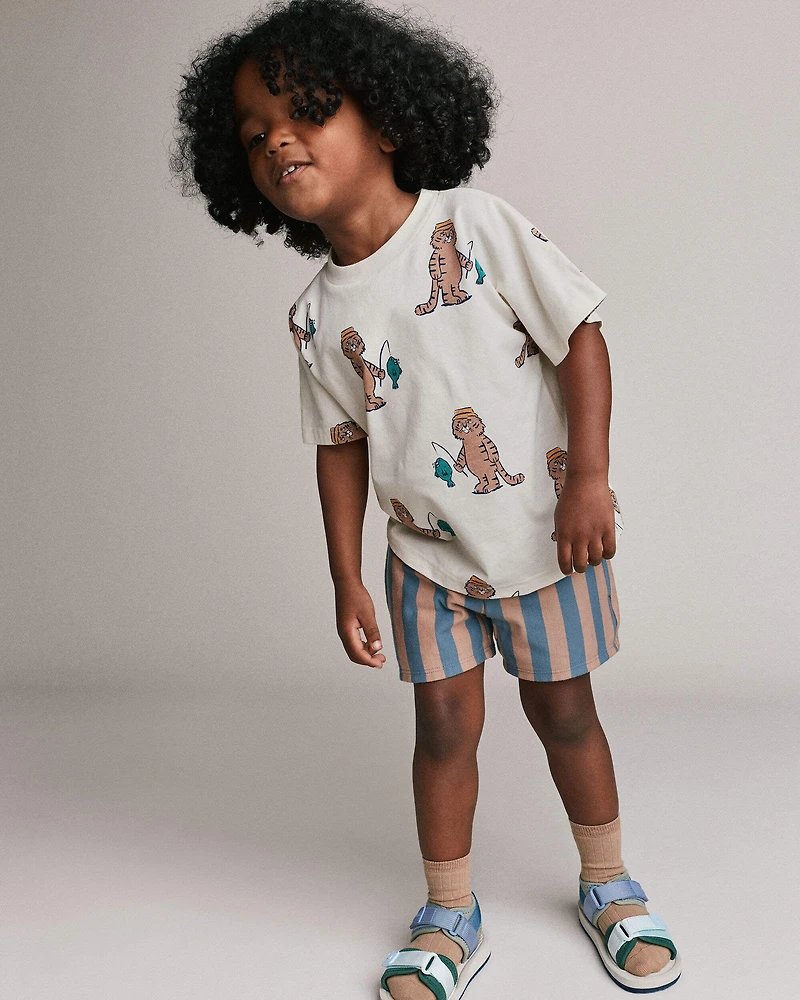 Toddler Boy Long-Line Shorts in Stripes - Slate Blue/Brown